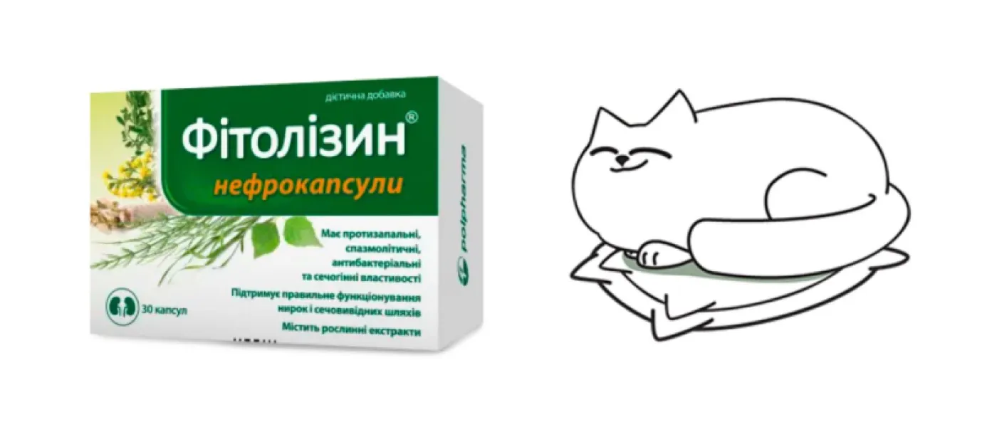 Фітолізин — прорив 2024 року, що підкорює кінцевого споживача